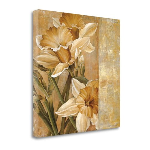 Tangletown Fine Art 'Champagne Daffodils I' Graphic Art Print on Wrapped Canvas