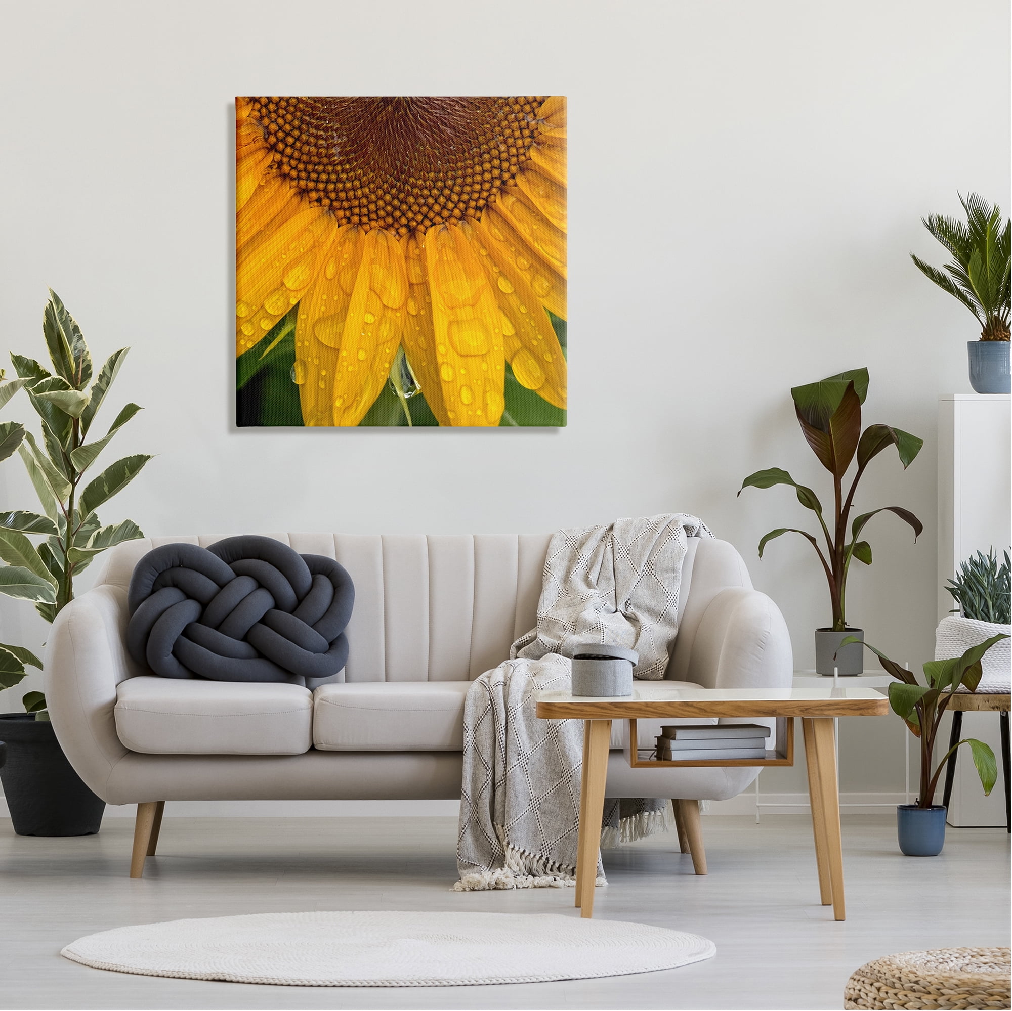 Stupell Industries Water Droplets Sunflower Nature Botanical & Floral Photography Gallery Wrapped Canvas Print Wall Art