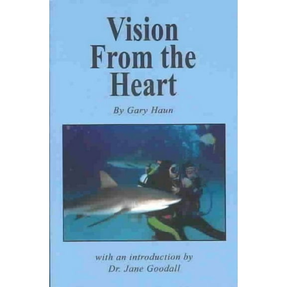 Vision from the Heart (Paperback)