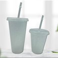 thumbnail image 2 of Gobelet avec Couvercle et Paille PP Bouteille Réutilisable en Plastique pour Boisson Froide Café Jus Smoothie Violet Rouge 480ml, 2 of 6