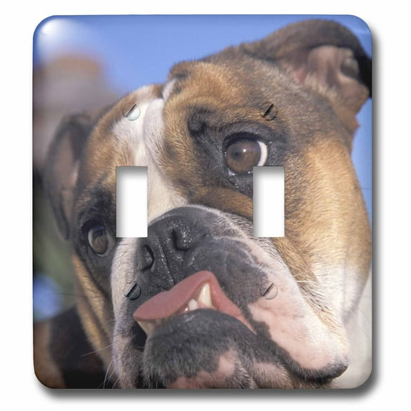 3dRose, English Bulldog - NA02 MWE0138 - Michele Westmorland, double toggle switch
