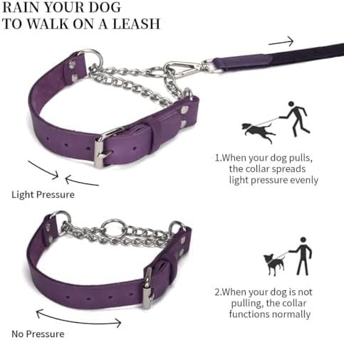 Martingale Collar for Dogs No-Pull Adjustable Training Collar with Stainless Steel Chain - Genuine Leather Anti-Slip Design for Small,Medium,Large Breed Dogs - Purple (M)
