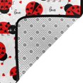 thumbnail image 4 of Shaggy Area Rug, Ladybug And Heart Rugs for Living Room Bedroom Non Slip Door Mat Indoor Carpet Machine Washable Nursery Home Decor Floor Mats for Entryway 60x39in, 4 of 5