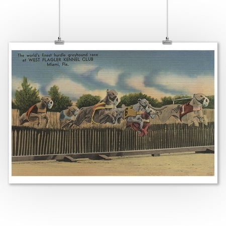 Greyhound Dog Art Miami, FL - Greyhound Dog Race at Kennel Club (9x12 Art Print, Wall Decor Travel Poster) ()