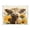 Highland Cow and Sunflowers, variant on Acrylic Tray Clear Serving Tray Rectangle Decorative Tray with Cut Handle Peacock Illustration