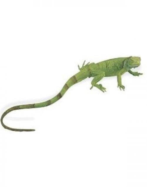webkinz iguana