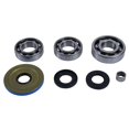 thumbnail image 2 of ALL BALLS Kit de Roulement Différentiel et Joint 25-2119, 2 of 4