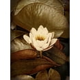 thumbnail image 2 of Perry, Rachel 25x32 Gold Ornate Wood Framed with Double Matting Museum Art Print Titled - Lily Pad Single, 2 of 4