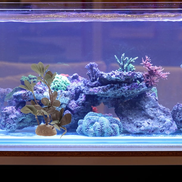 unbranded Planta Simulado Decorativa Para De Reptiles Y Acuarios Color