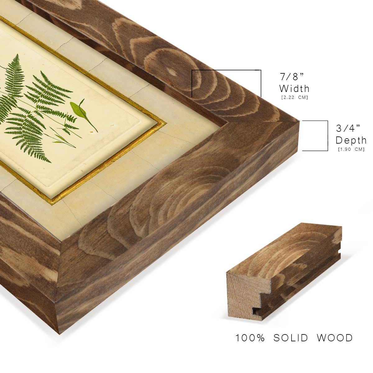 Fern with Crackle Mat (H) IV - Framed Print w/glass - Walnut