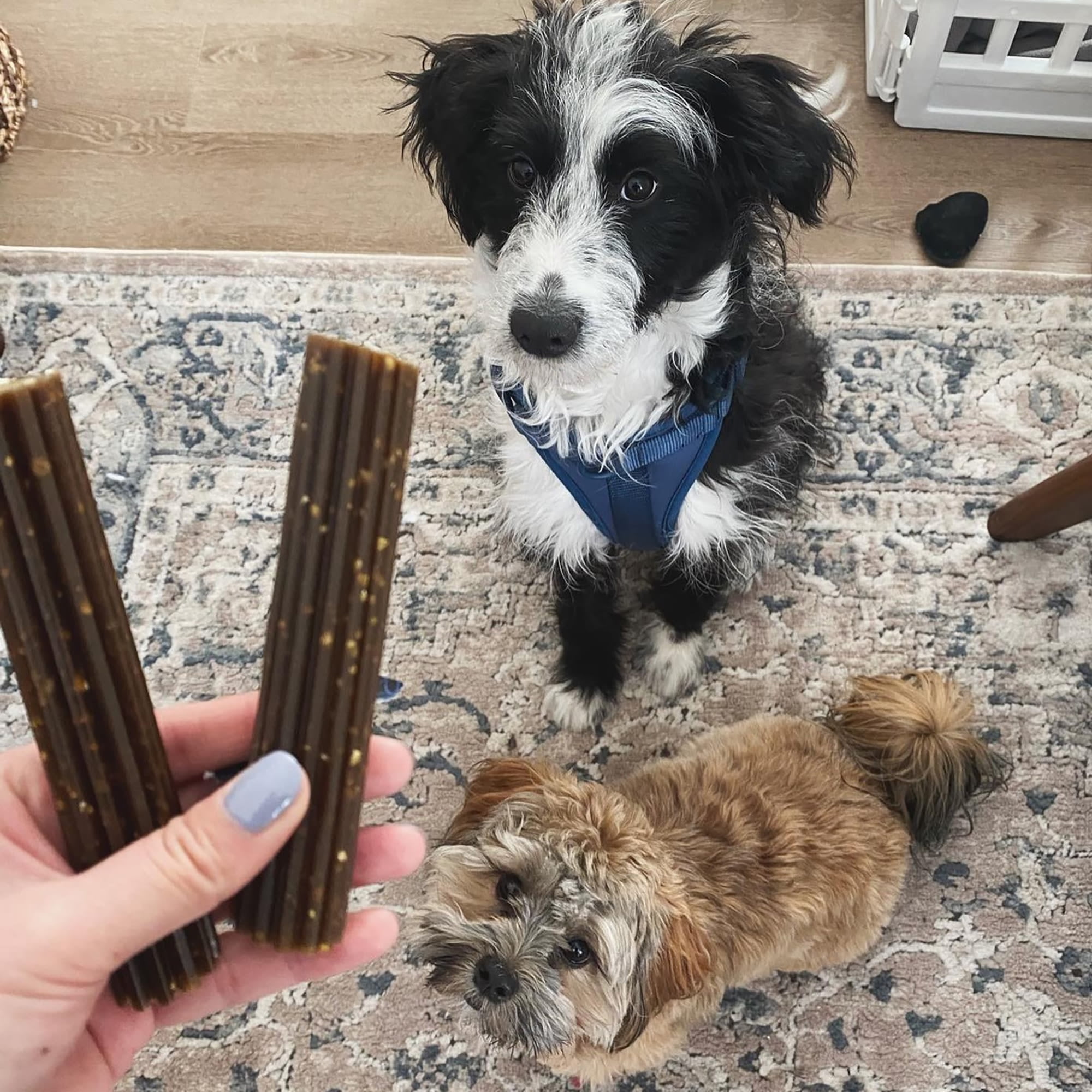 Stashios Peppermint Dental+ Sticks for Dogs Over 35 lbs, 11.3 oz