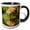 Black/White, variant on 3drose, Usa, Minnesota. Red Fox, 11oz Two-tone Black Mug