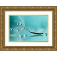 thumbnail image 1 of Barbieri, Rina 24x18 Gold Ornate Wood Framed with Double Matting Museum Art Print Titled - Water, 1 of 4