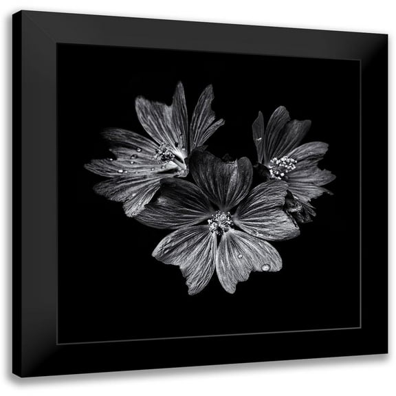 Carson, Brian 12x12 Black Modern Framed Museum Art Print Titled - Black And White Flower Trio