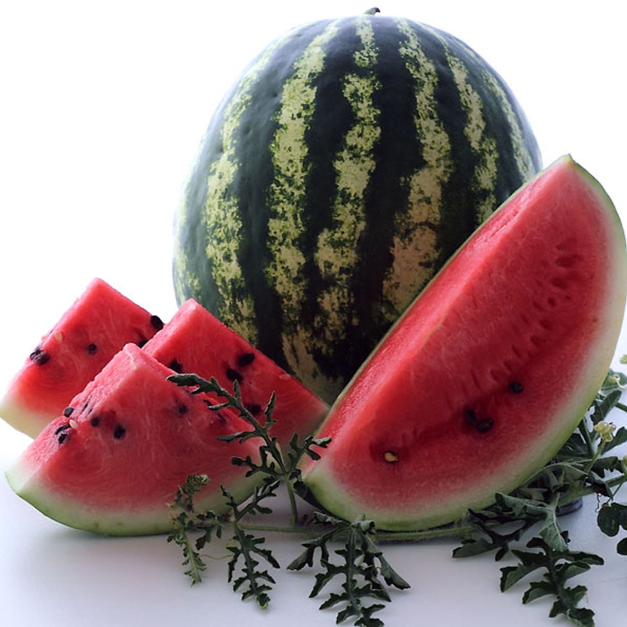 20 Pcs Seeds Mixed Colors Watermelon NON-GMO Rare Fruit Organic Home Garden New 