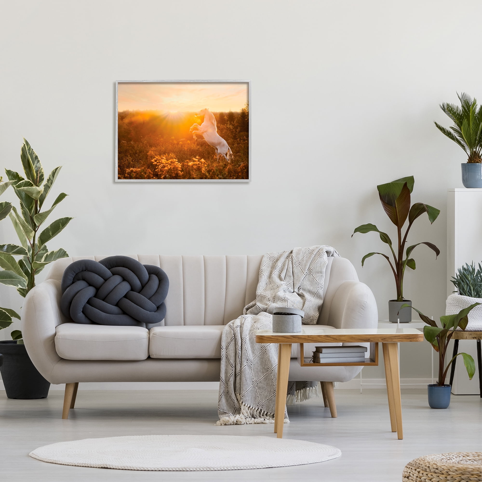 Stupell Industries Standing Horse in Rising Sun Landscape Photography Gray Framed Art Print Wall Art, 30 x 24
