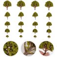 thumbnail image 2 of Milisten 20pcs Model Scenery Landscape Trees Yellow Scenery Layout Props 3CM-8CM (Green), 2 of 5