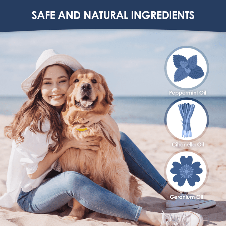 Bearant Flea and Tick Collar for Dogs - 8 Months Protection for Dogs -  Organic Flea Collar - Adjustable Size Fits All Dog Flea Collar - Waterproof  Flea and Tick Collars, 2 Packs, Orange - Walmart.com