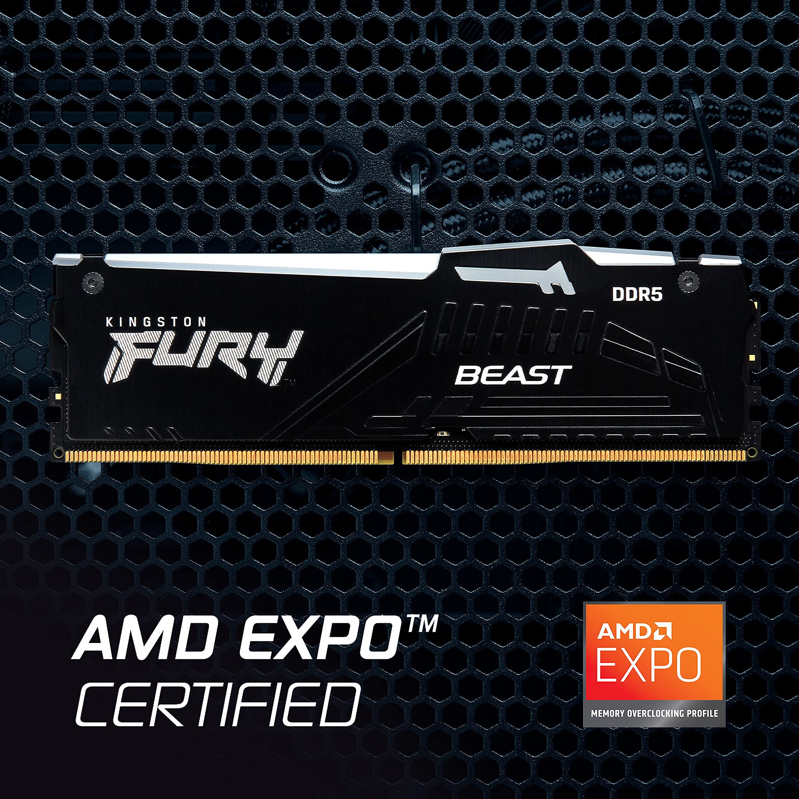 Kingston FURY Beast 8GB DDR5 SDRAM Memory Module - Walmart.com