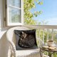 thumbnail image 4 of Spring Cute Pet Patterns Imitation Embroidery Cushion Cover Soft Throw Pillow Cover For Sofa And Chair Ideal Choice For Spring Easter Sofa And Bedroom Decor, 4 of 6
