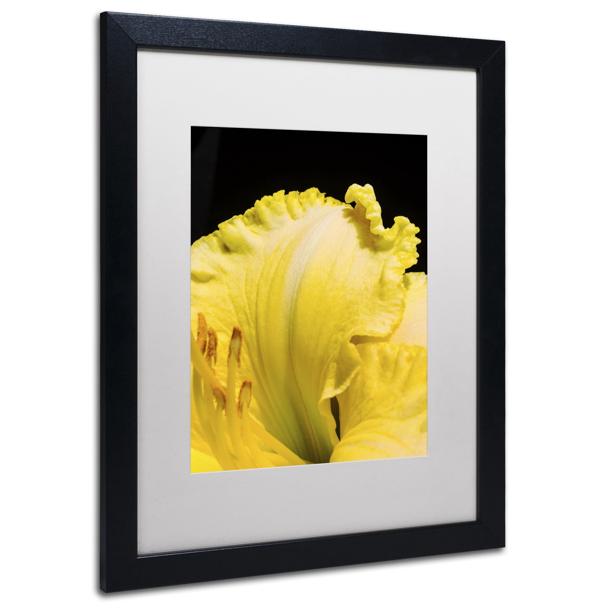 Trademark Fine Art "Day Lily Abstract" Canvas Art by Kurt Shaffer, White Matte, Black Frame