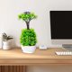 thumbnail image 1 of Simulation Maple Leaf Rattan Wholesale Europe And The United States Home Decoration Simulation Maple Leaf Scenic Arrangement Simulation Maple Leaf, 1 of 6