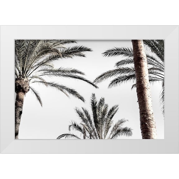 Artographie Studio 32x23 White Modern Wood Framed Museum Art Print Titled - Palm 007