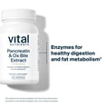 thumbnail image 3 of Vital Nutrients Pancreatin & Ox Bile Extract 500mg | Natural Digestive Enzymes for Women & Men | Supports Digestion of Protein, Fat, and Carbohydrates| Gluten, Dairy & Soy Free | 60 Capsules, 3 of 5