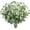 Eucalyptus With Baby's Breath, variant on Brinory Fall Eucalyptus Stems Decor, 5Pcs 23" Artificial Eucalyptus Branches Autumn Leaves Fake Plants Floral Arrangements Thanksgiving Farmhouse Home Table Decorations