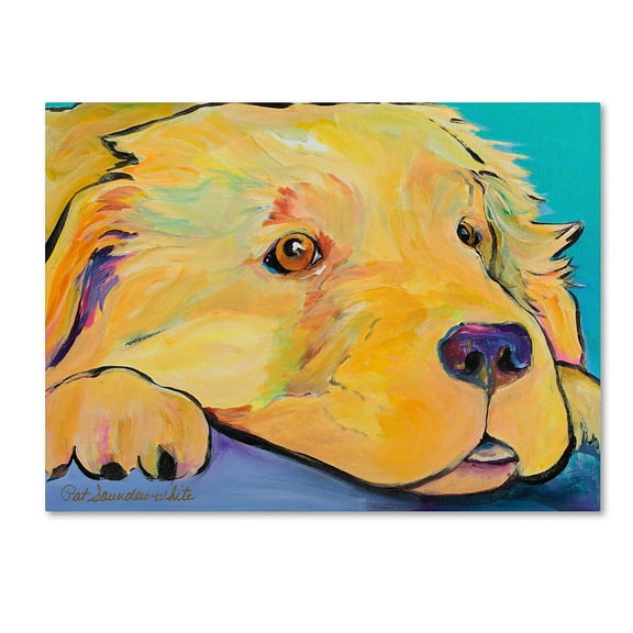 Trademark Fine Art "Baby" Canvas Art by Pat Saunders-White