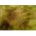 thumbnail image 5 of oneOone Cotton Silk Light Green Fabric Tie Dye Sewing Craft Projects Fabric Prints By Yard 42 Inch Wide, 5 of 6