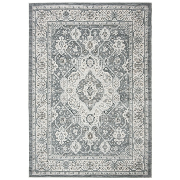 SAFAVIEH Isabella Zander Oriental Area Rug, Grey/Cream, 8' x 10'