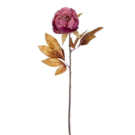 21" Light Mauve Peony Stem 6/Bag