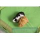 thumbnail image 5 of Parque para mascotas pequeño, 13 pulgadas, multicolor, 5 of 5
