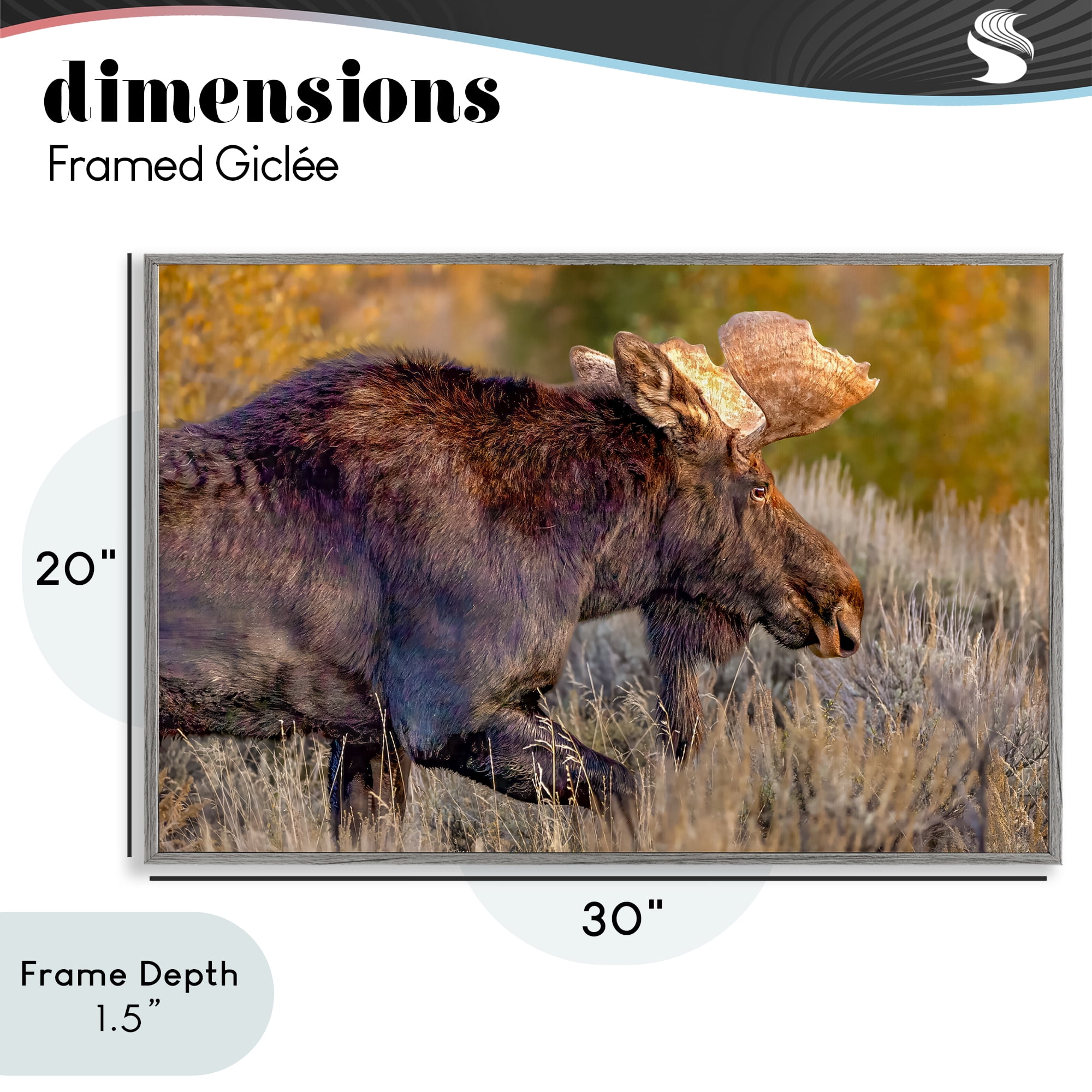 Stupell Industries Bull Moose At Dusk Gray Framed Giclee Art, design by Shelley Carlisle