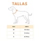 thumbnail image 5 of Juego De Collar Ajustable Y Correa Reflejante Para Perro Med, 5 of 6