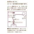 thumbnail image 4 of Kalita Coffee Mill Hand Grind Dome Mill 42033, 4 of 5