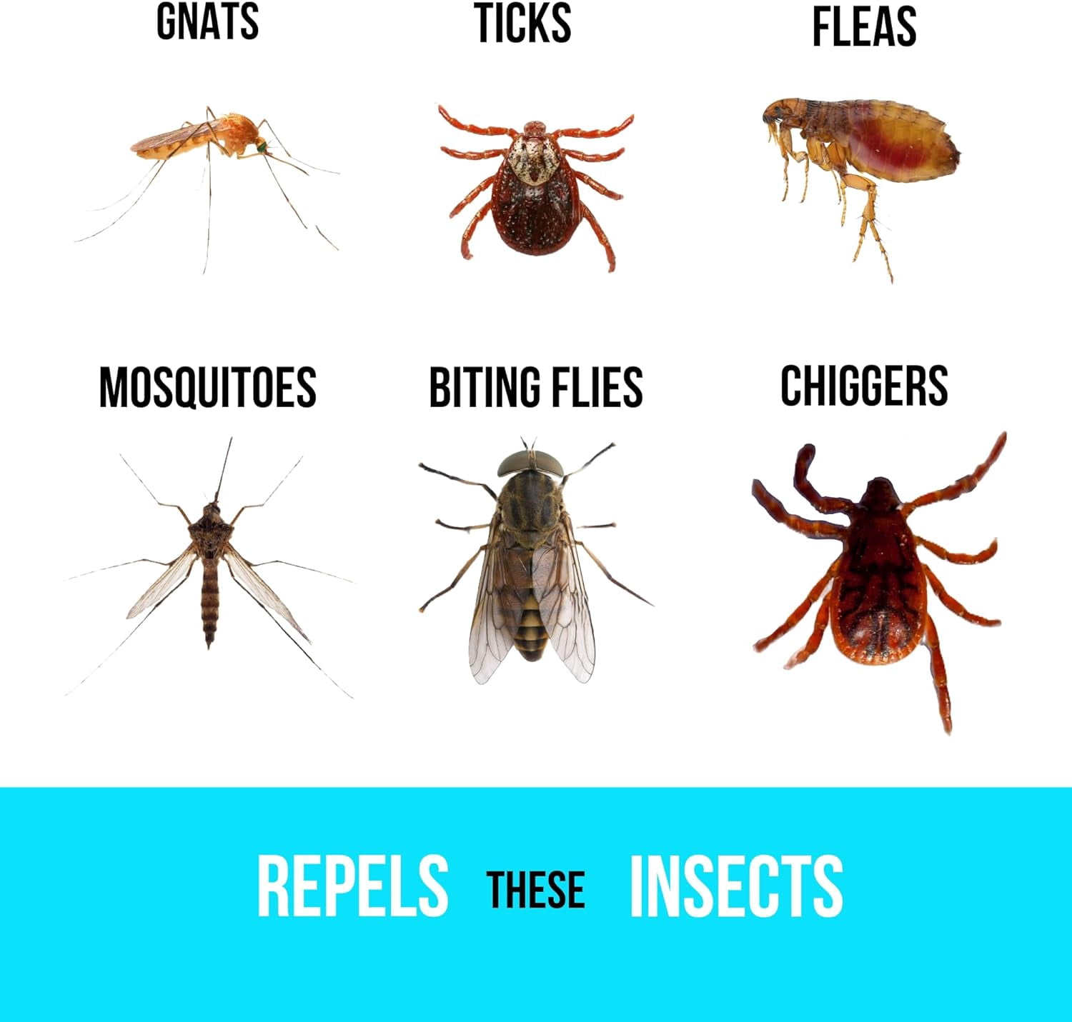 Bugg Products LLC Buggins IV Performance Insect Repellent Spray - 25% DEET, Powdery Scent - 6 oz