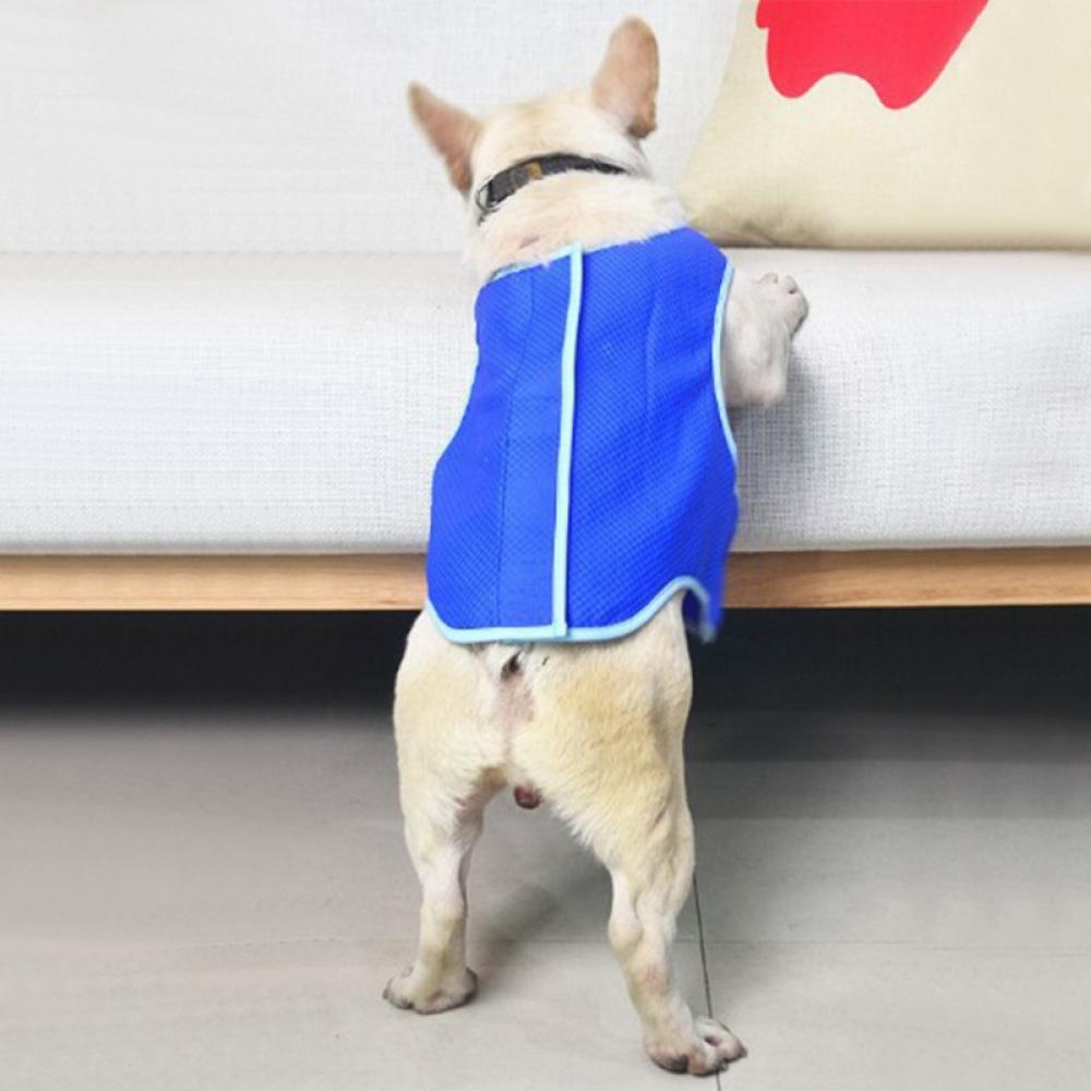 dog ice pack jacket