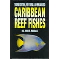 thumbnail image 1 of Pre-Owned Caribbean Reef Fishes (Hardcover) 0793801176 9780793801176, 1 of 1