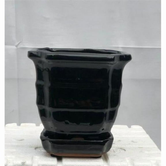 Bonsai Boy of New York L256e 5.5 x 5.5 x 5.5 in. Black Ceramic Bonsai Pot with Humidity & Drip Tray, Square