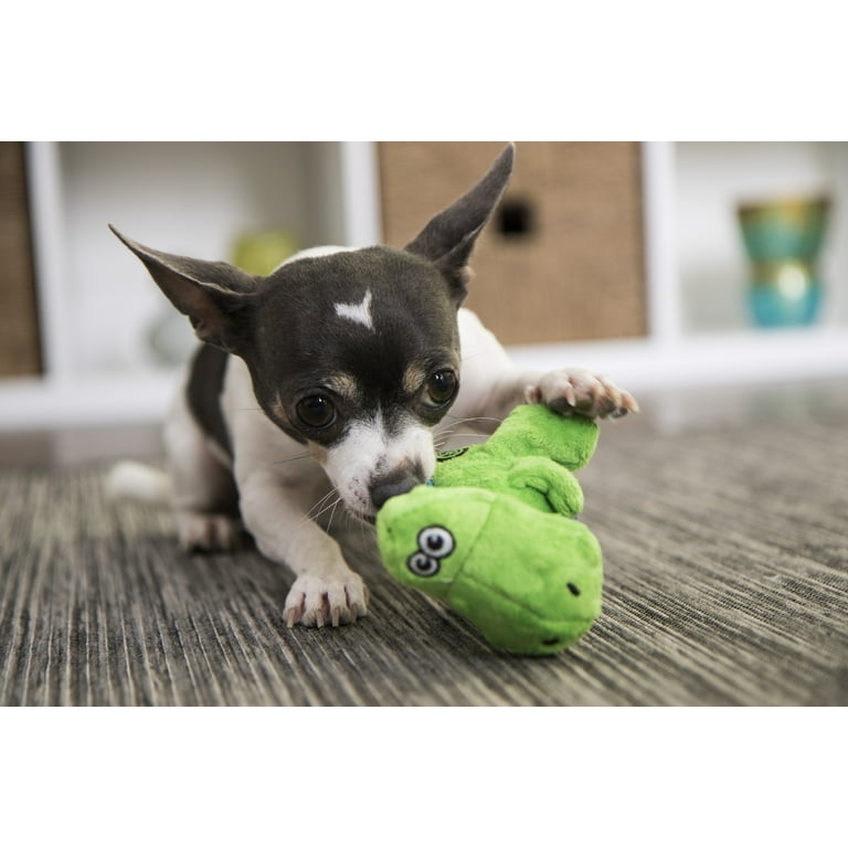 Go Dog Dinos TRex with Chew Guard Technology Durable Plush Squeaker Dog Toy Green Mini Just for Me Go Dog Dinos TRex with Chew Guard Technology Durable Plush Squeaker Dog Toy Green Mini Just for Me