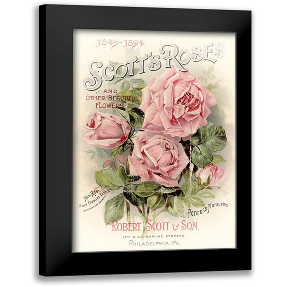 Vintage Apple Collection 11x14 Black Modern Framed Museum Art Print Titled - Scotts Roses