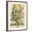 Brown Frame, variant on Art.com March Art Print by Robert Furber, 12" x 16"