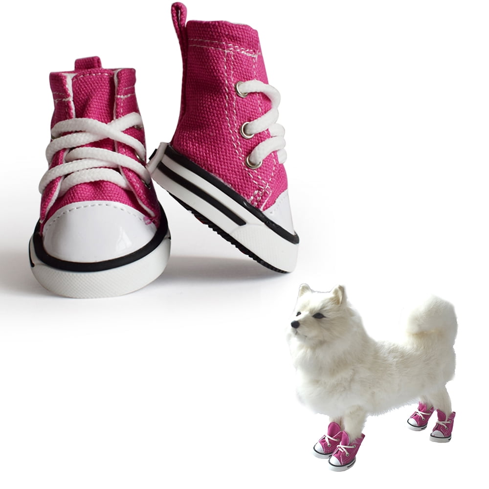 pet shoes