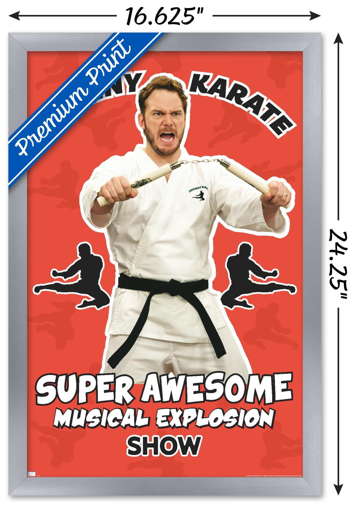 Parks and Recreation - Johnny Karate Wall Poster, 14.725" x 22.375" Framed