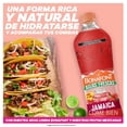 thumbnail image 4 of Agua saborizada Bonafont Aguas Frescas jamaica 1.4 l, 4 of 4