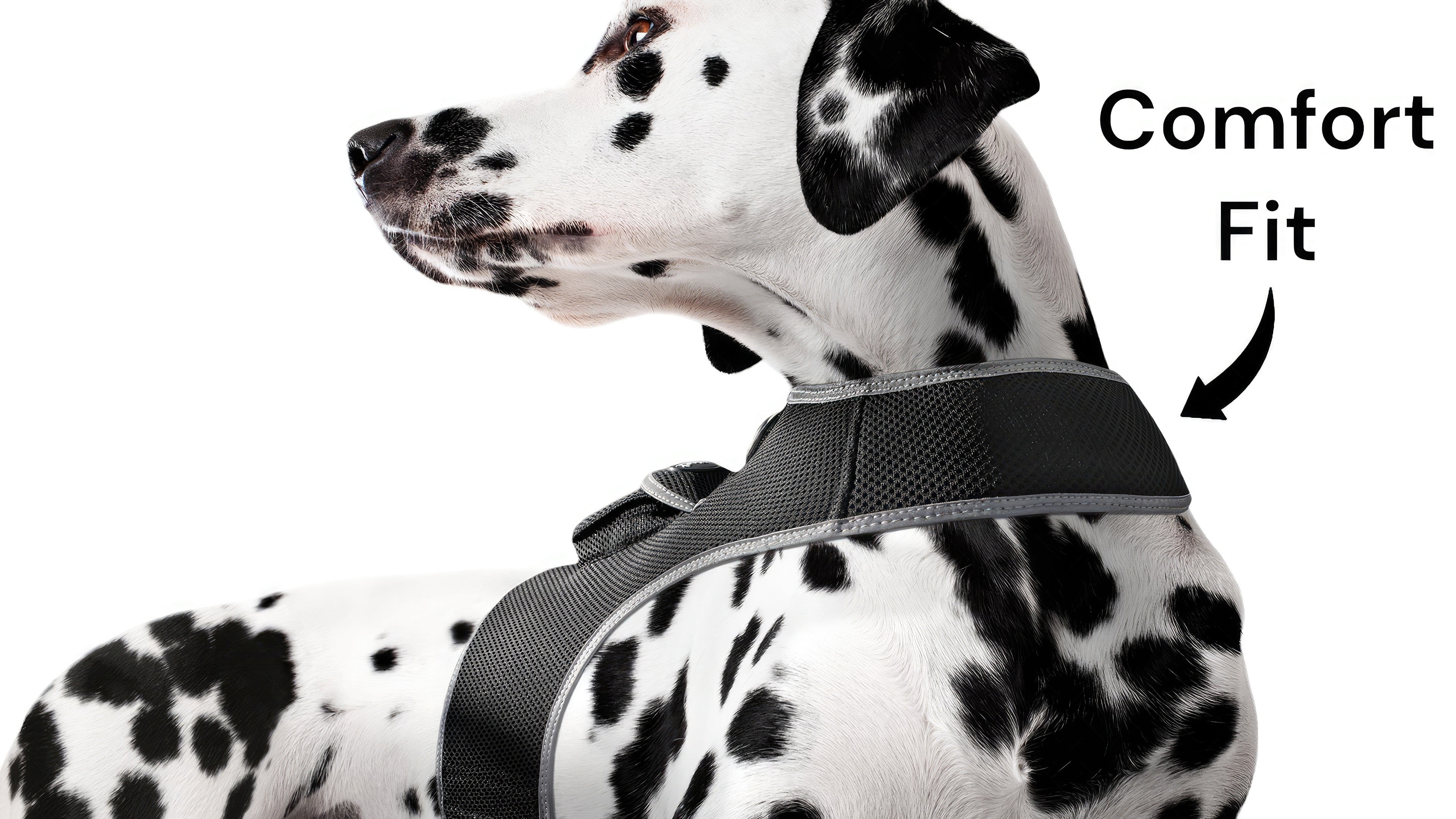 Wearable Security Pet Tracker GPS Pet Tracking Devices Realtime System Size:XL
