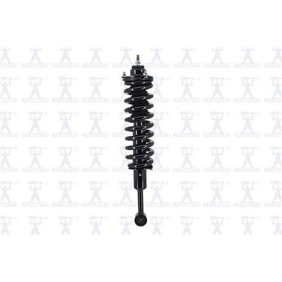 Suspension Strut and Coil Spring Assembly