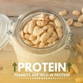 thumbnail image 4 of We Got Nuts Jumbo Blanched Roasted Unsalted Peanuts, Kosher, 5 lb, 80 oz, Resealable Bag, 4 of 6